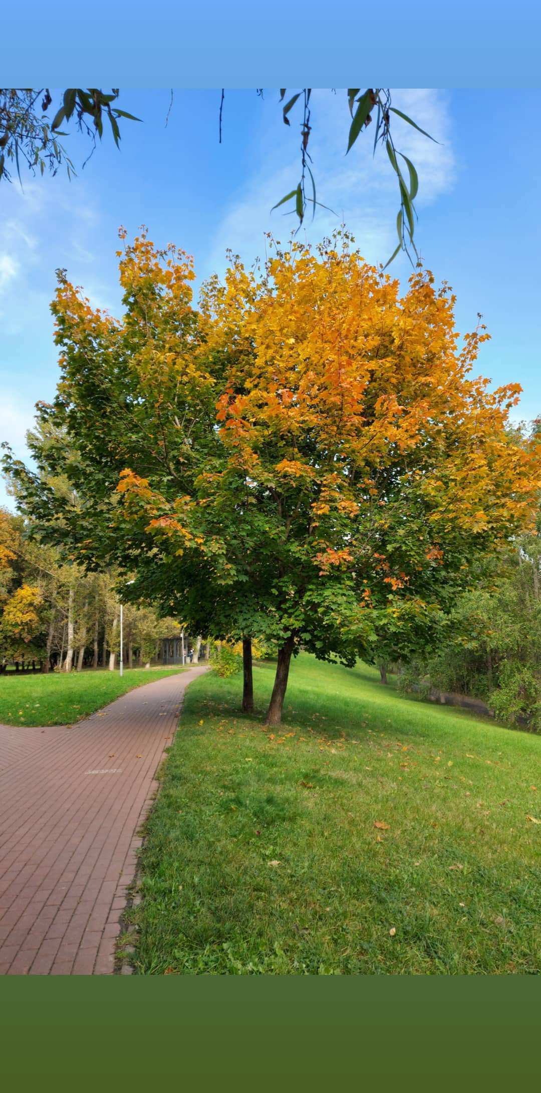 Коуч сессия 